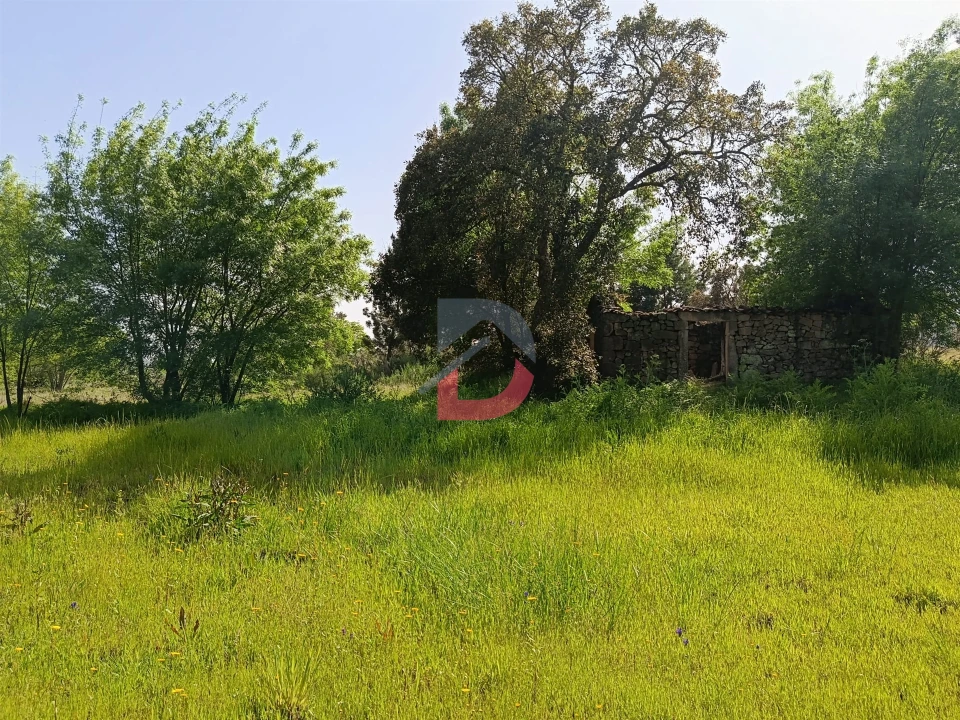 Quinta T0 para Venda em Póvoa de Rio de Moinhos e Cafede Foto 1