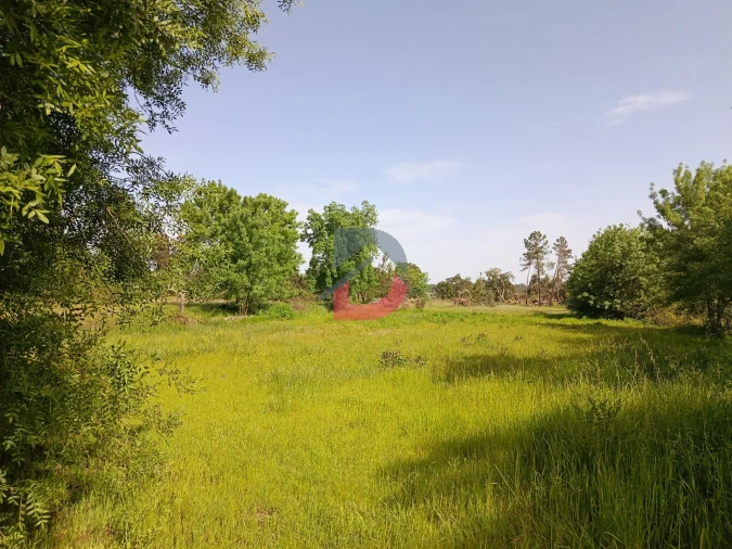 Quinta T0 para Venda em Póvoa de Rio de Moinhos e Cafede Foto 6