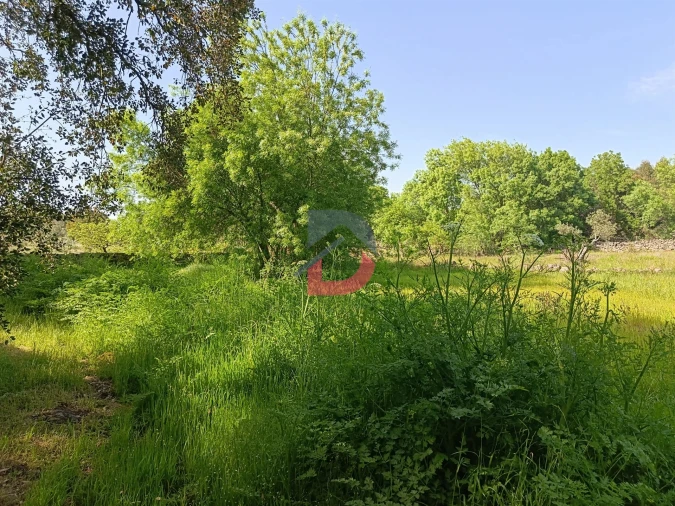 Quinta T0 para Venda em Póvoa de Rio de Moinhos e Cafede Foto 5