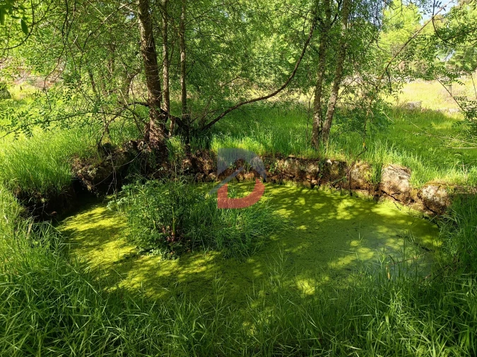 Quinta T0 para Venda em Póvoa de Rio de Moinhos e Cafede Foto 7