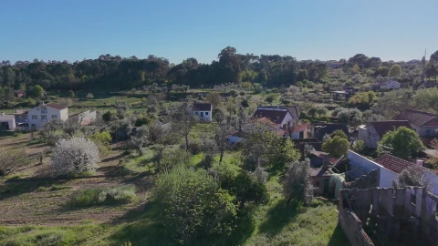 Moradia T3 para Venda em Lajeosa do Dão