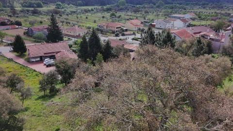 Terreno para Venda em Sobral