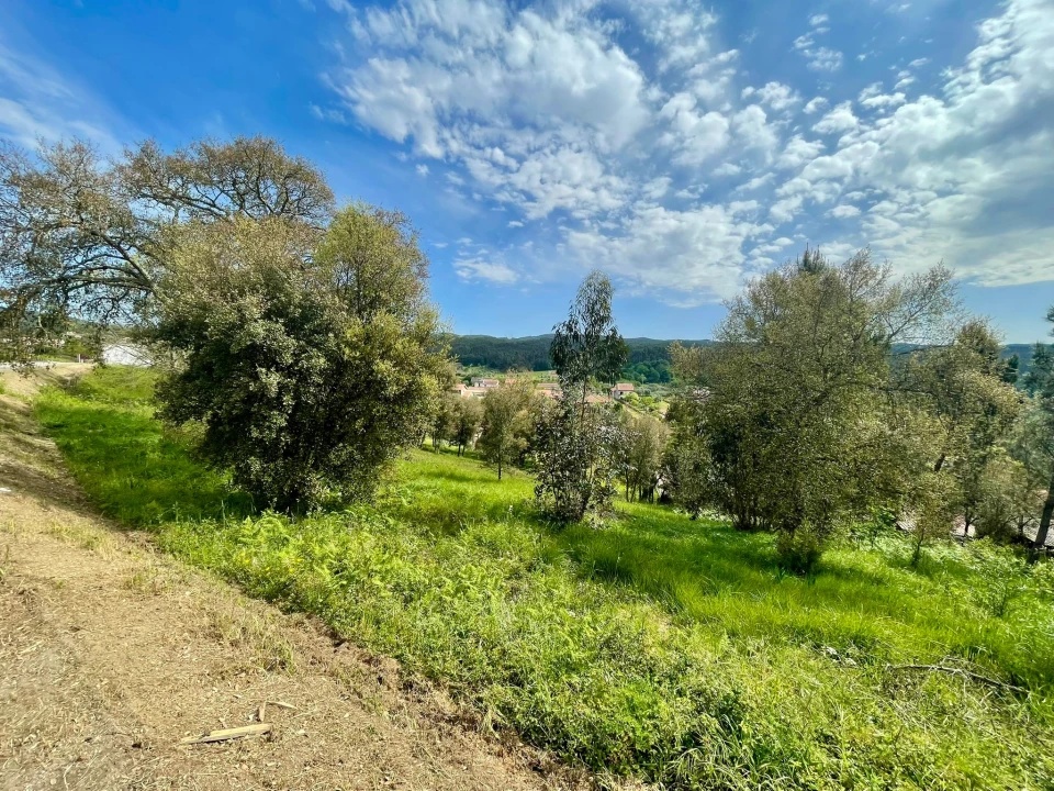 Terreno para Venda em Sobral Foto 3