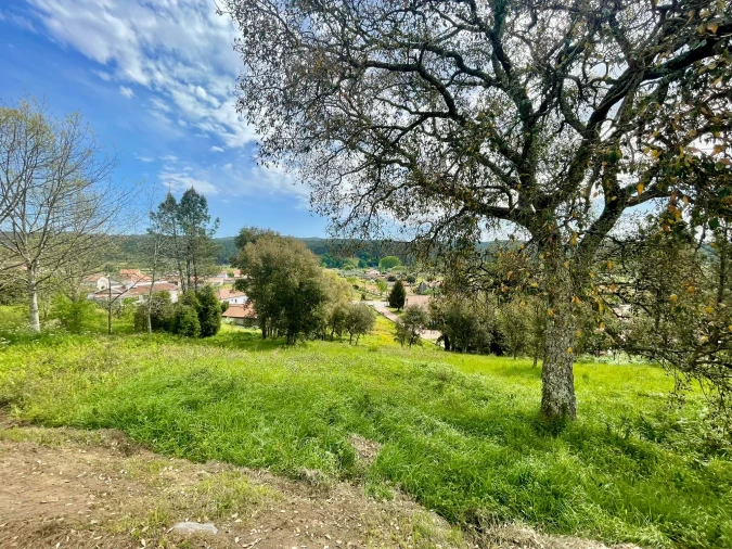 Terreno para Venda em Sobral Foto 2