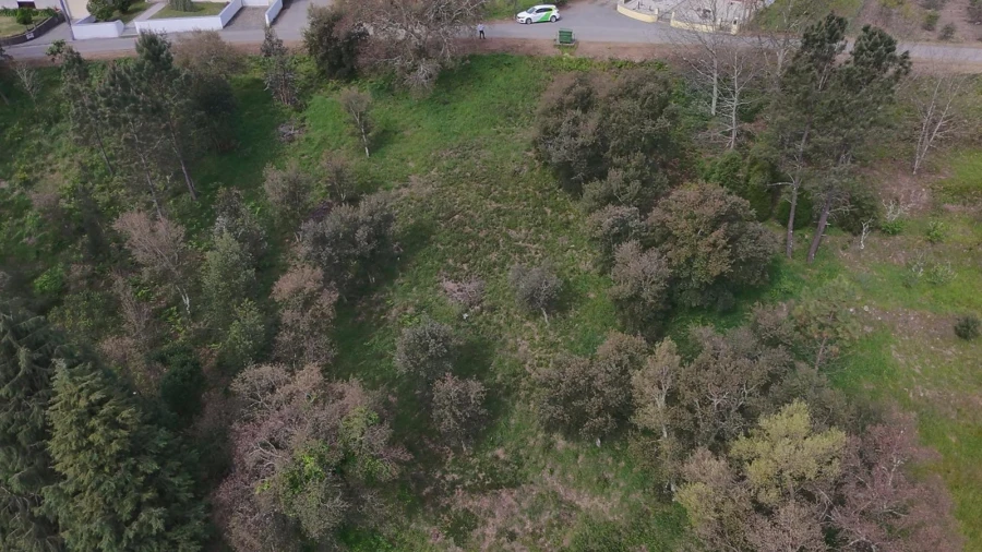 Terreno para Venda em Sobral Foto 12