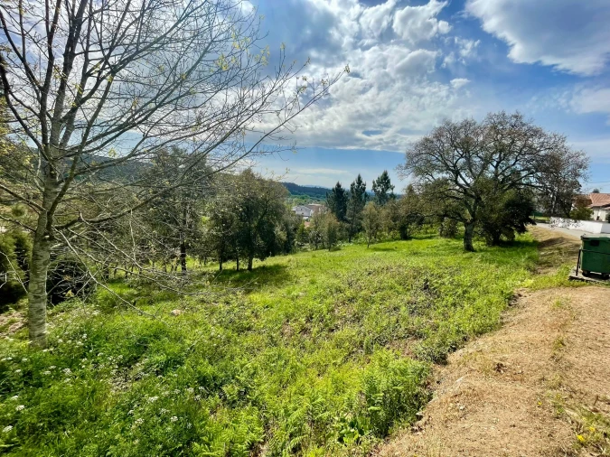 Terreno para Venda em Sobral Foto 4