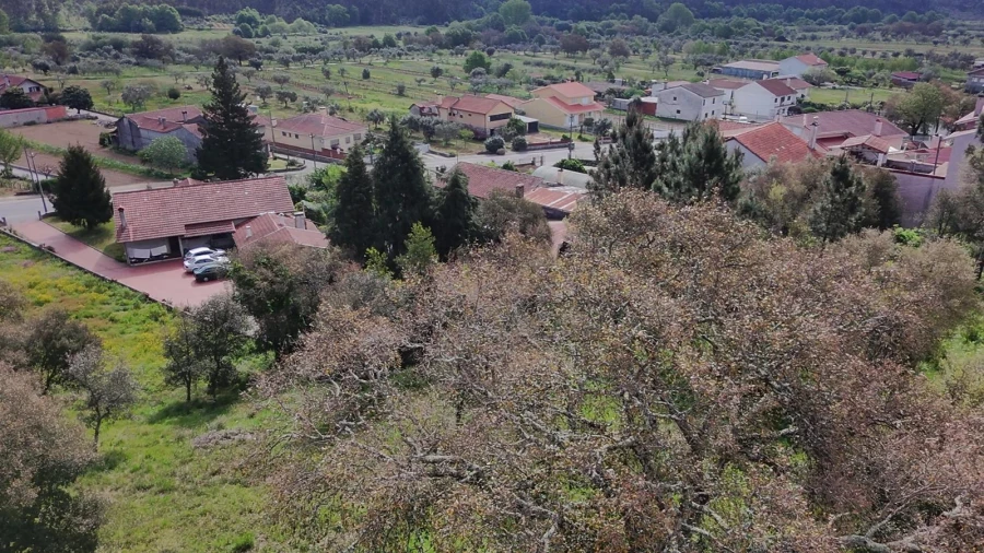 Terreno para Venda em Sobral Foto 8