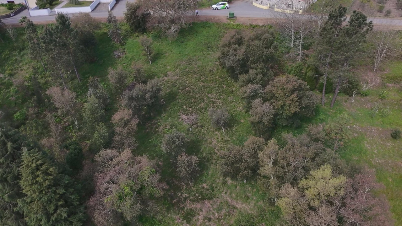 Terreno para Venda em Sobral Foto 12