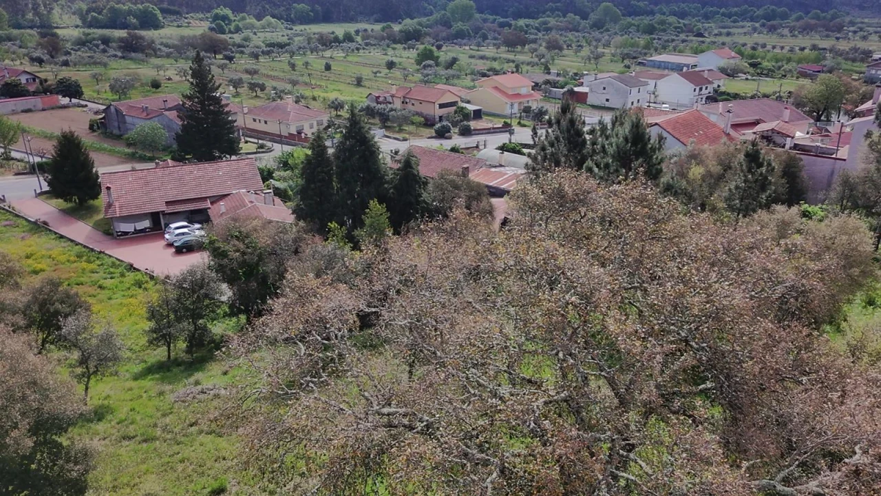 Terreno para Venda em Sobral Foto 8