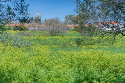 Moradia T1 para Venda em Ajuda