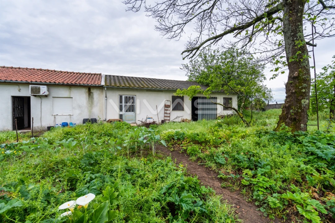 Moradia T2 para Venda em Merelim (São Pedro) e Frossos Foto 7