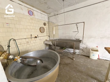 Armazém para Venda em Tinalhas