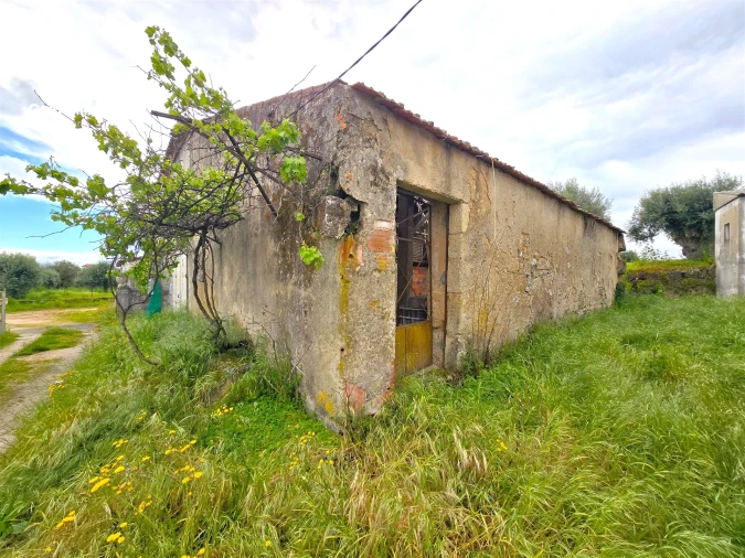 Armazém para Venda em Tinalhas Foto 5