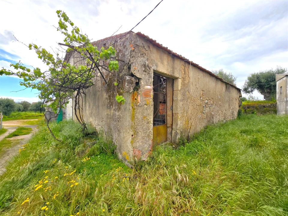 Armazém para Venda em Tinalhas Foto 5