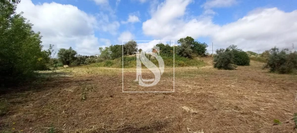 Quinta T2 para Venda em Romeira e Várzea