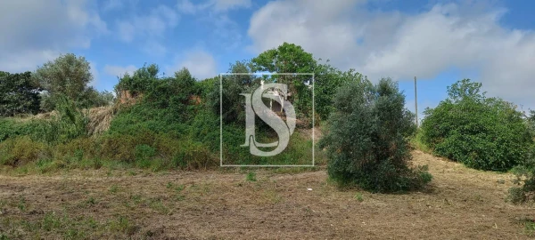 Quinta T2 para Venda em Romeira e Várzea