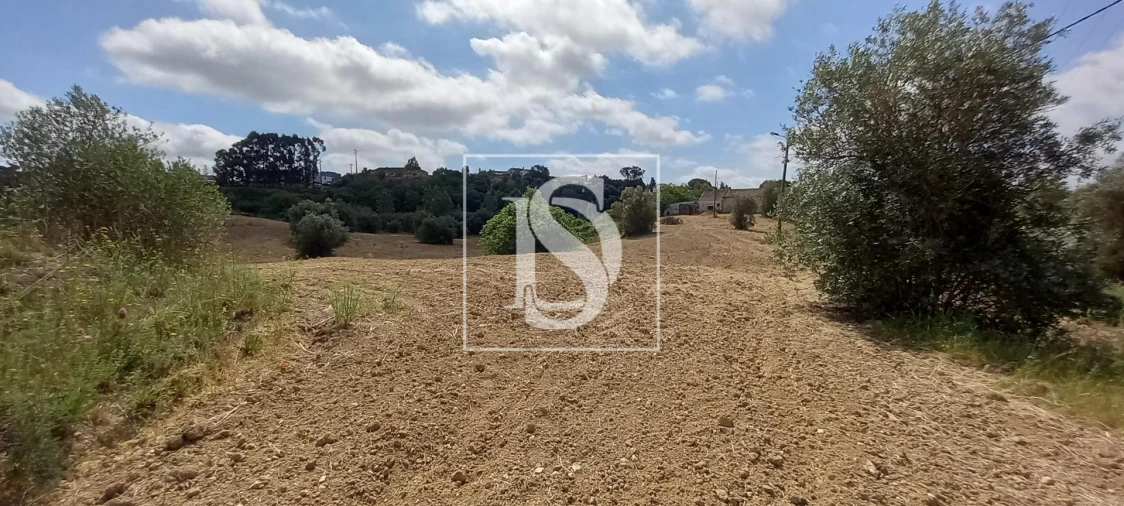 Quinta T2 para Venda em Romeira e Várzea Foto 4