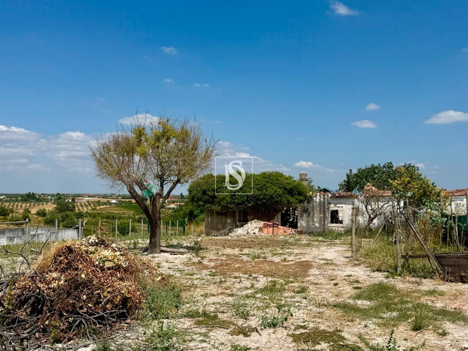 Terreno para Venda em Casével e Vaqueiros Foto 6