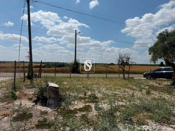 Terreno para Venda em Casével e Vaqueiros