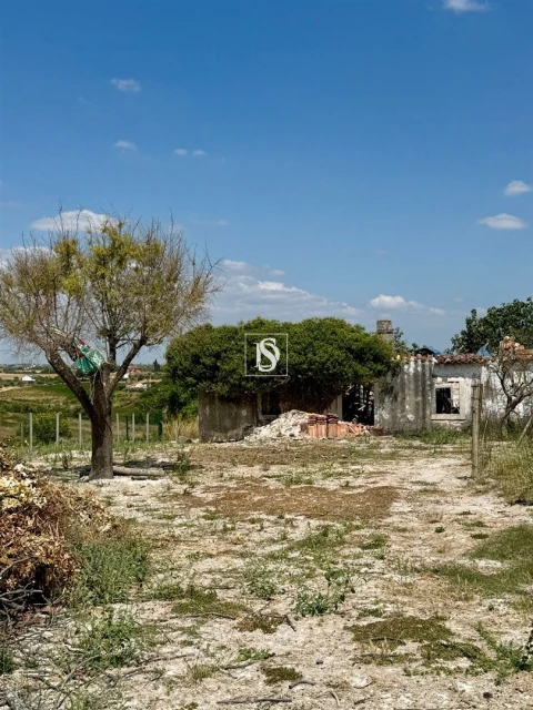 Terreno para Venda em Casével e Vaqueiros