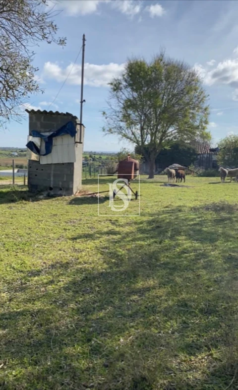 Terreno para Venda em Casével e Vaqueiros