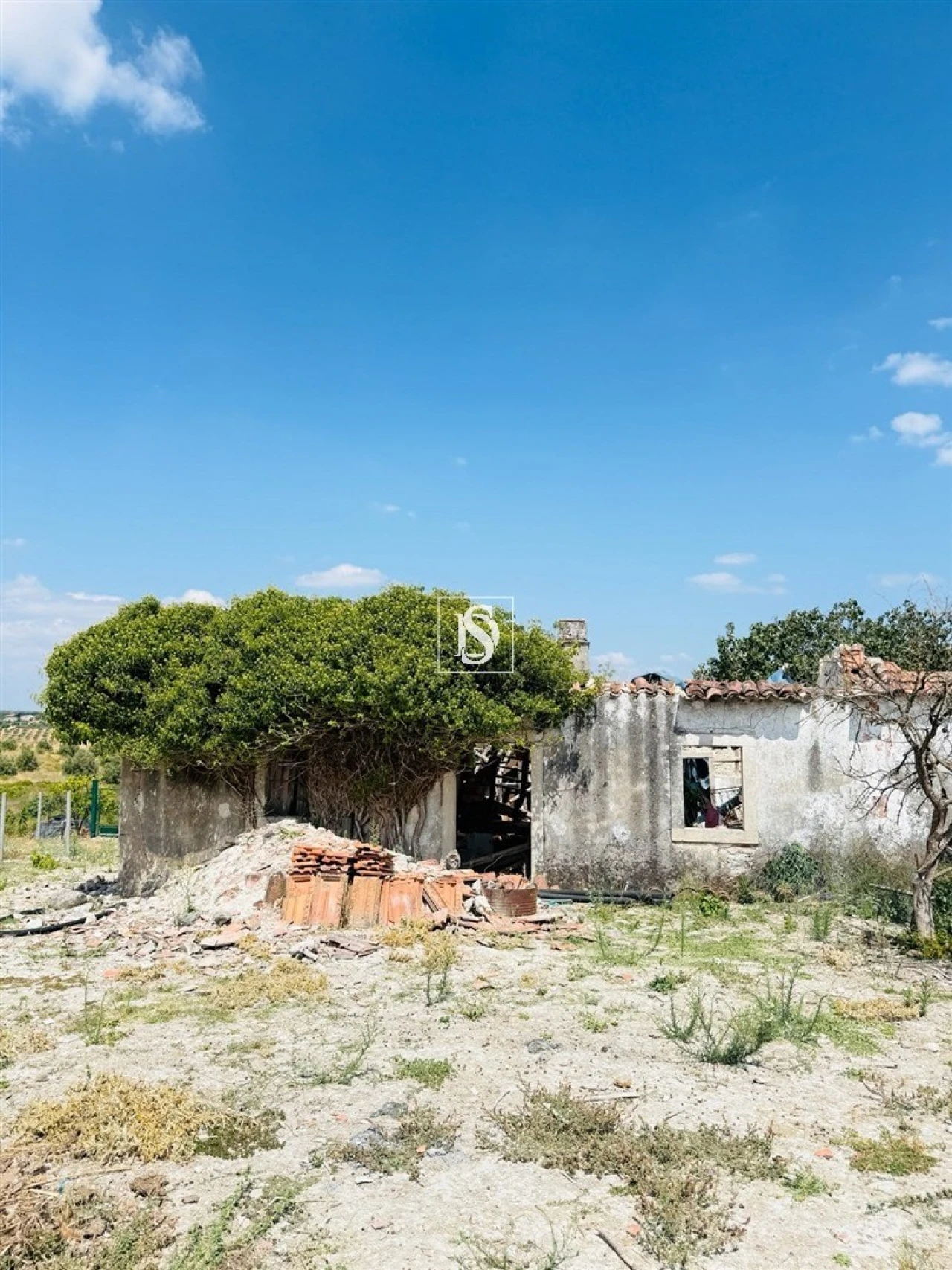Terreno para Venda em Casével e Vaqueiros Foto 5