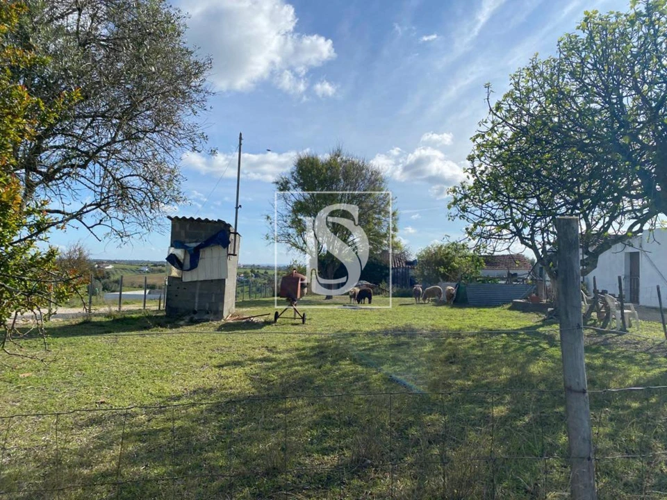 Terreno para Venda em Casével e Vaqueiros Foto 4