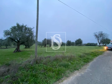 Terreno para Venda em Casével e Vaqueiros