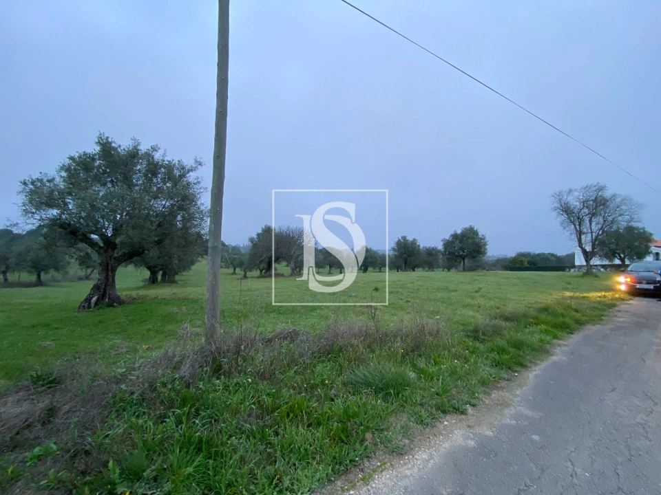 Terreno para Venda em Casével e Vaqueiros Foto 4