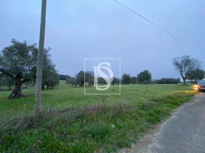 Terreno para Venda em Casével e Vaqueiros Foto 5