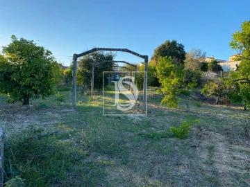 Terreno para Venda em Vale de Santarem