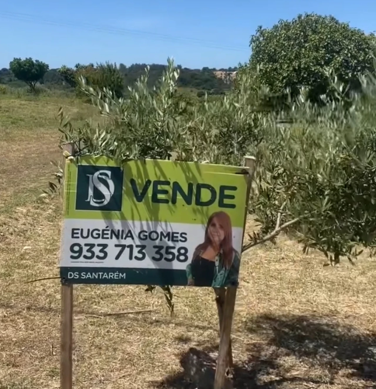 Terreno para Venda em Pernes Foto 13