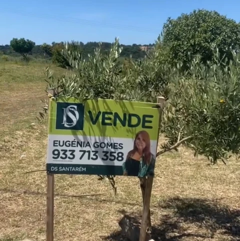 Terreno para Venda em Pernes