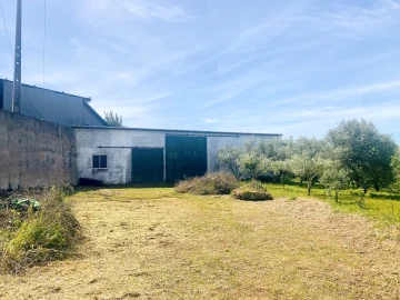 Terreno para Venda em Pernes