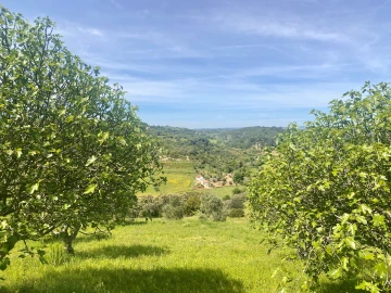 Terreno para Venda em Pernes