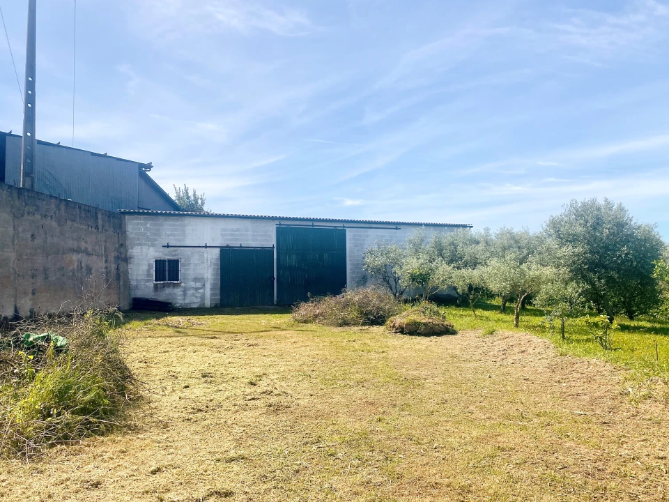 Terreno para Venda em Pernes Foto 7