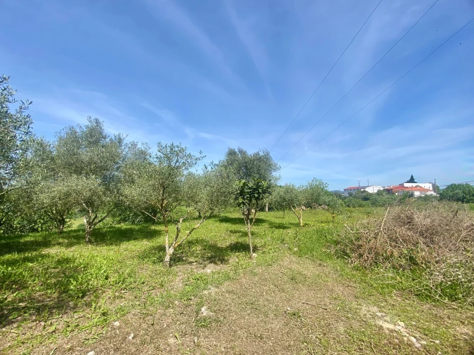 Terreno para Venda em Pernes Foto 5