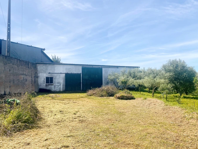 Terreno para Venda em Pernes Foto 7