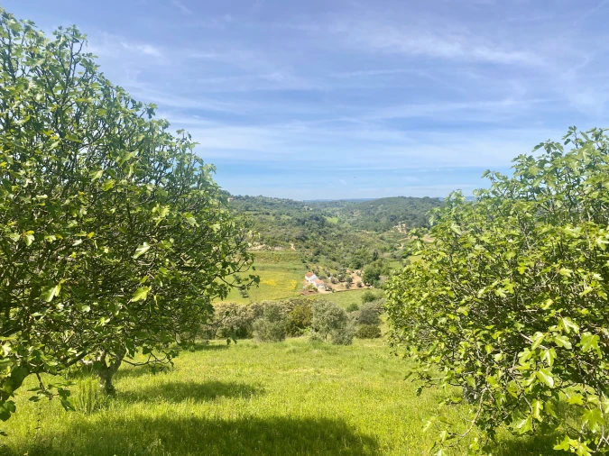 Terreno para Venda em Pernes Foto 11