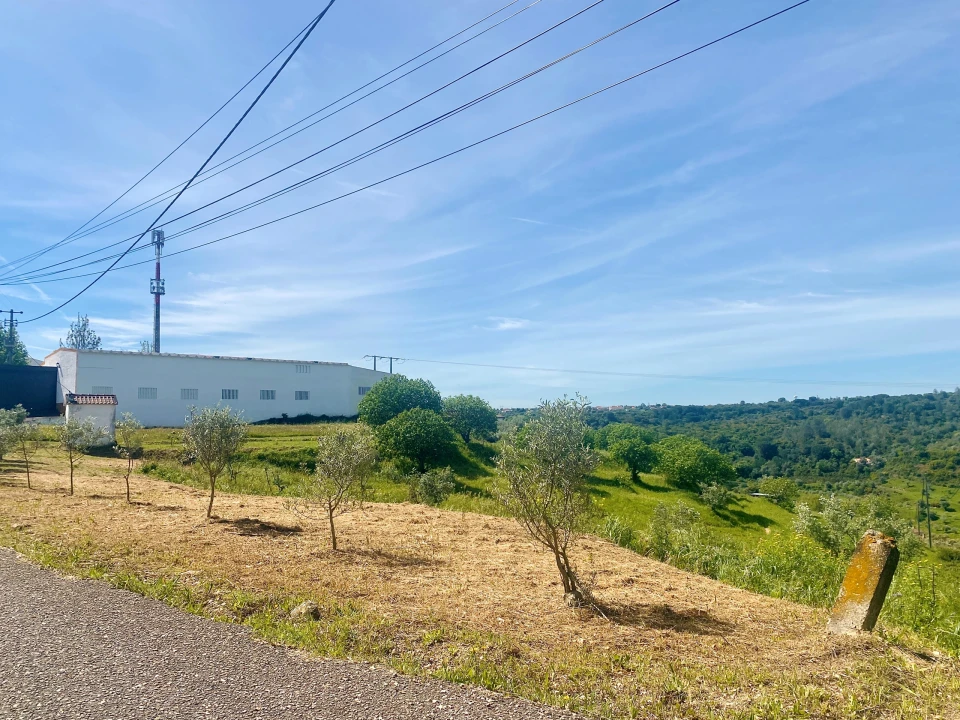 Terreno para Venda em Pernes Foto 6