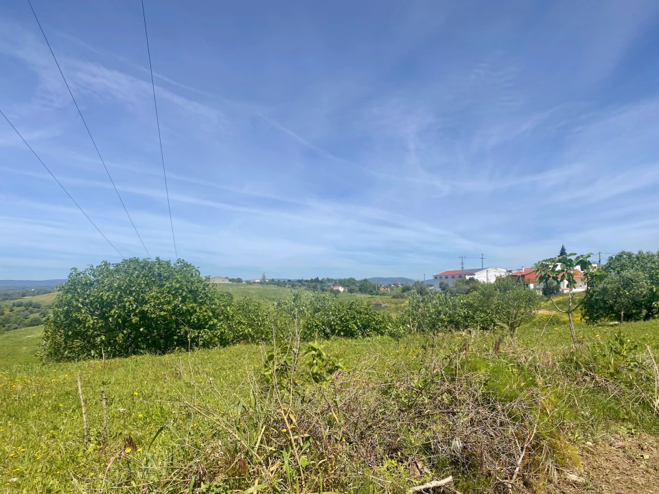 Terreno para Venda em Pernes Foto 8