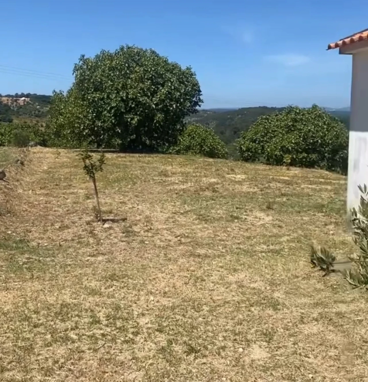 Terreno para Venda em Pernes Foto 15