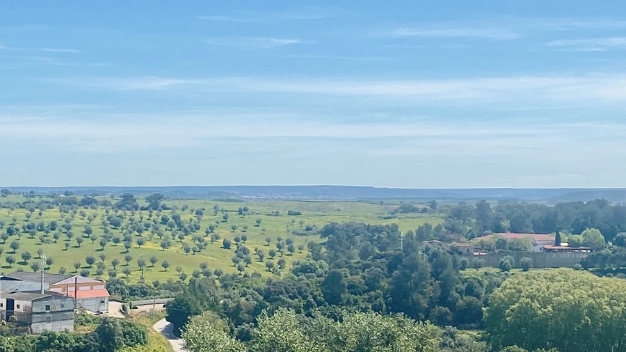 Terreno para Venda em Pernes