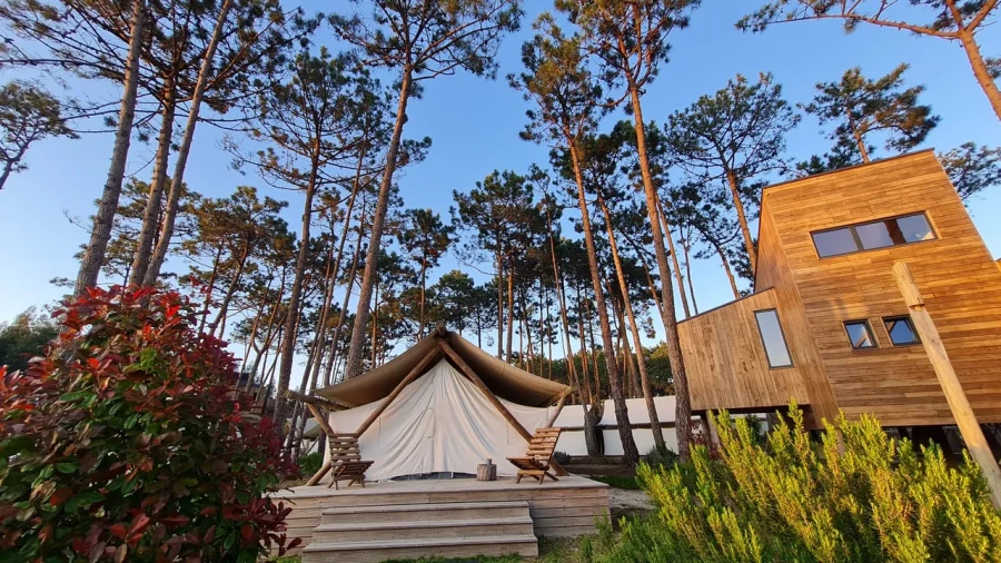 Negócio para Venda em Atouguia da Baleia Foto 35