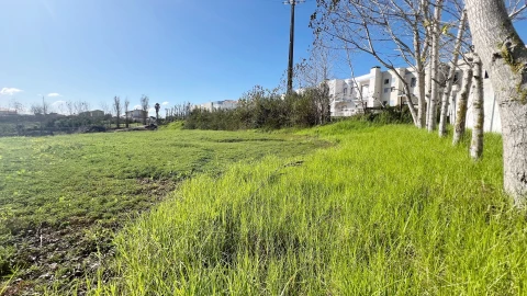 Terreno para Venda em Lourinhã e Atalaia