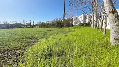 Terreno para Venda em Lourinhã e Atalaia
