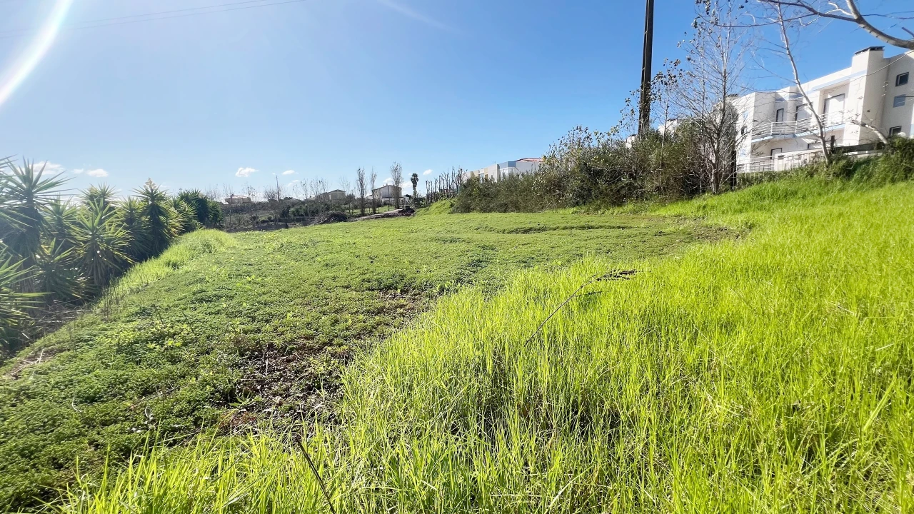 Terreno para Venda em Lourinhã e Atalaia Foto 8