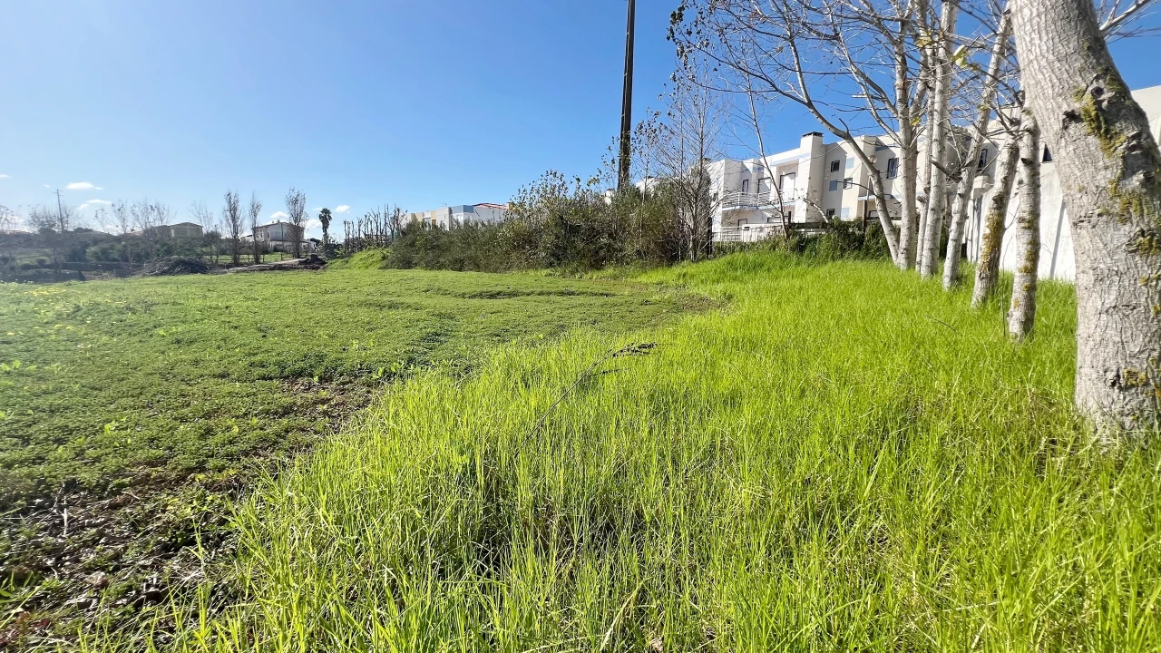 Terreno para Venda em Lourinhã e Atalaia Foto 9