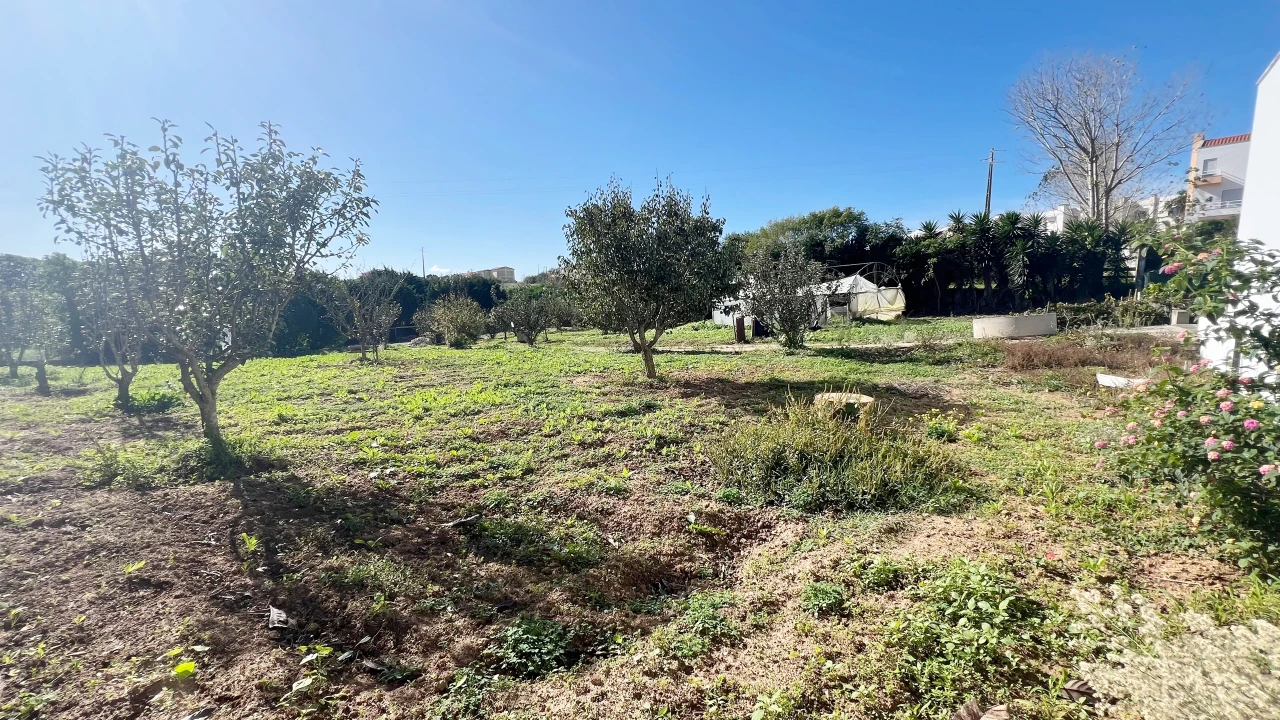 Terreno para Venda em Lourinhã e Atalaia Foto 7