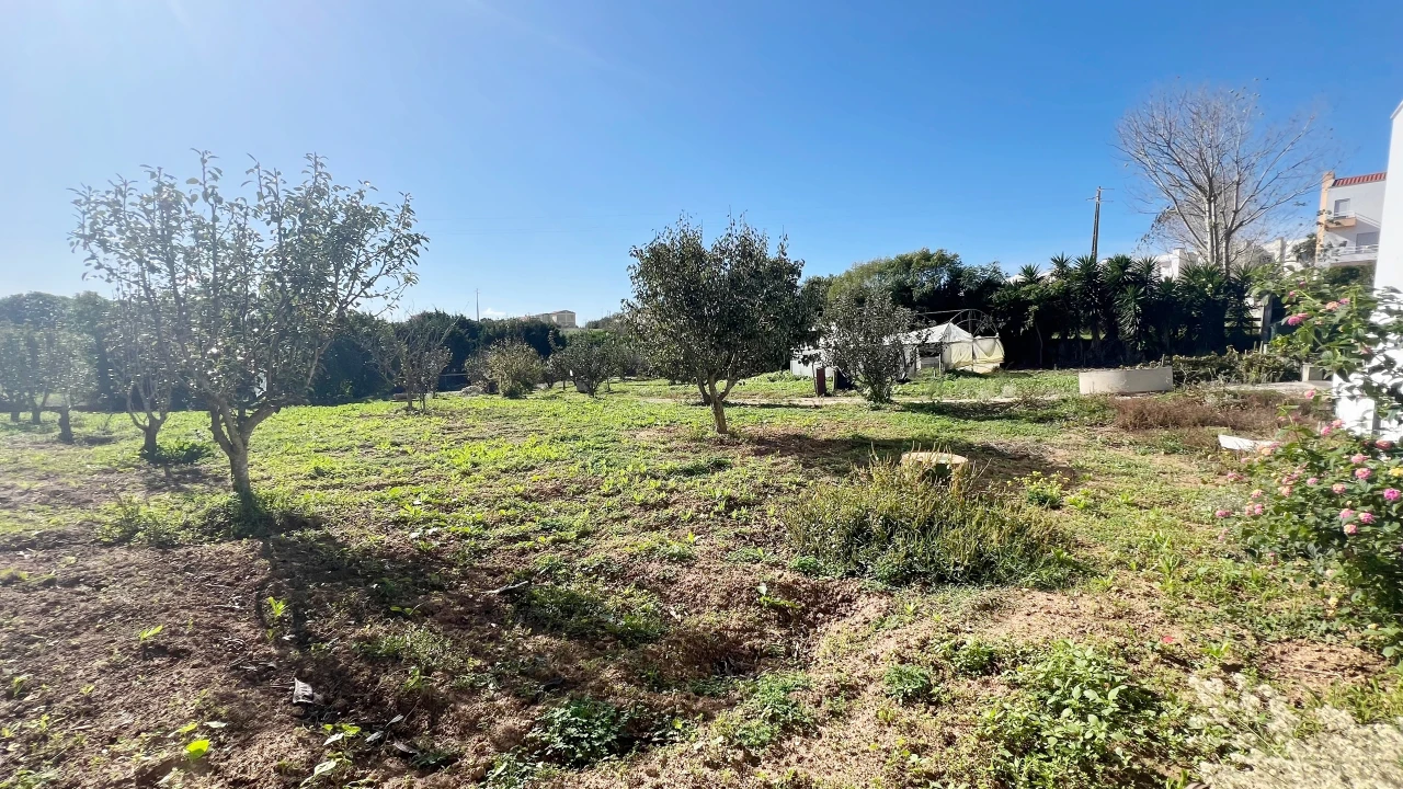 Terreno para Venda em Lourinhã e Atalaia Foto 5